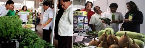 Agriculture Secretary Proceso J. Alcala examines the the quality vegetables and seeds of the National Seed Industry Council (NSIC) during the opening of its exhibit at the Bureau of Soils and Water Management, Quezon City on Tuesday (September 9, 2014). (MNS photo)