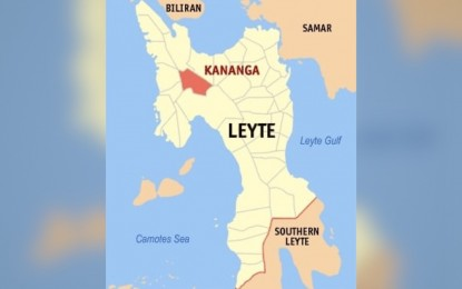 Village chief killed, wife hurt in Leyte ambush