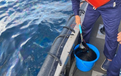 Palace assures overall oil spill cleanup done by June