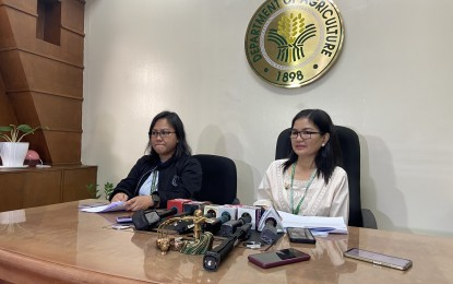 Department of Agriculture seeks FDA nod on Vietnam-made ASF vaccine