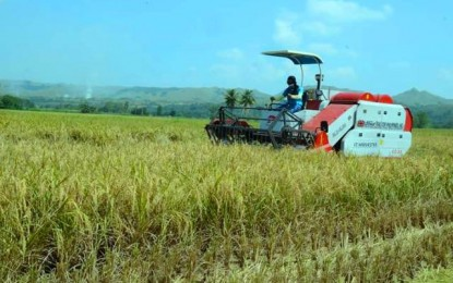Solon lauds PBBM’s approval of Masagana Rice Program