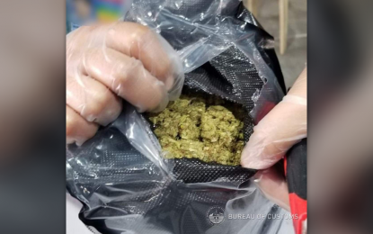BOC seizes P2.5-M marijuana declared as denim jeans