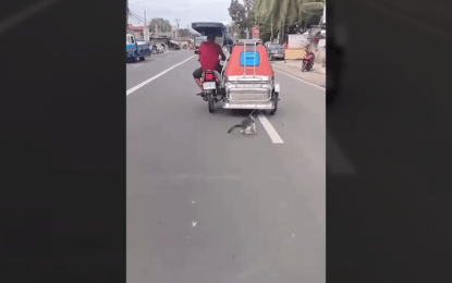 LTO summons tricycle driver for viral cat cruelty video