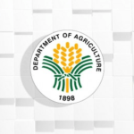 DA imposes import ban on animal products from Slovakia due to FMD