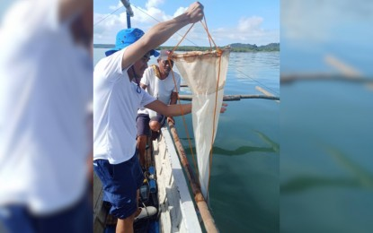 BFAR tests water quality after fish kill in CamSur