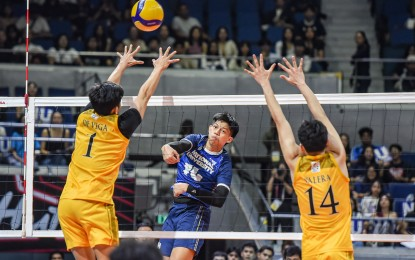 NU beats UST, forges title duel with FEU in UAAP men’s volleyball