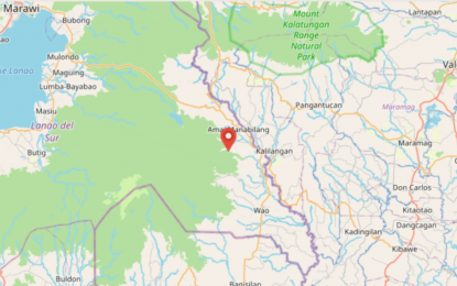 Army kills NPA rebel in Lanao Sur clash, recovers rifle