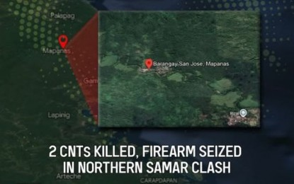 2 rebels killed in Northern Samar clash