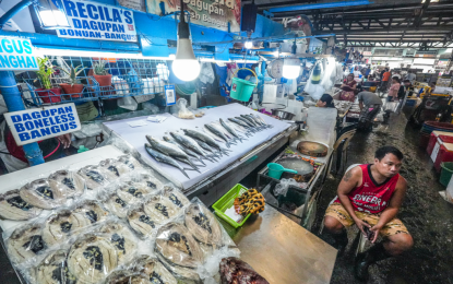 FRESH CATCH