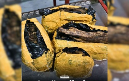 BOC intercepts P9-M agarwood in Pasay City
