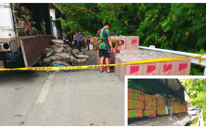 P240-M smuggled cigarettes seized, 267 suspects arrested in 8 weeks