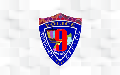 PRO-9 nabs 213 fugitives, seizes 197 loose firearms in September