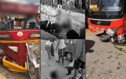 Senate eyes stricter permit requirements, vetting for endurance rides