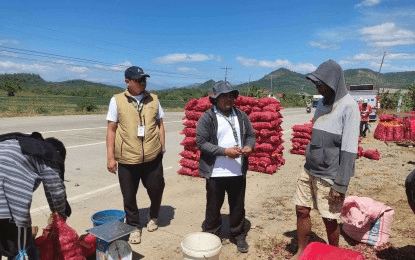 DA intensifies monitoring of onion farmgate prices