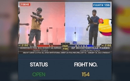 Senators want e-sabong hubs raided, kingpins charged