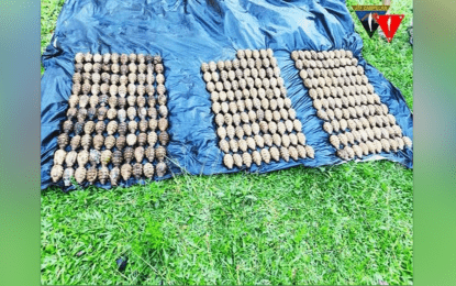 295 grenades seized from terror group arms cache in Lanao Sur