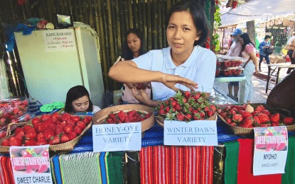 Wife’s desire to learn adds value to family’s strawberry biz