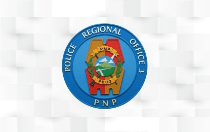 Central Luzon police record 14.95% drop in focus crimes