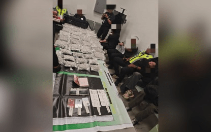 3 Chinese nationals nabbed, P69.8-M marijuana seized at Clark Airport