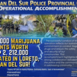 Cops uproot P2.2-M marijuana plants in Agusan Sur