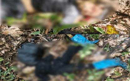 2 NPA rebels slain in Surigao Sur clash