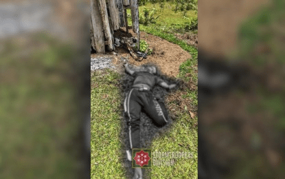 Rebel killed, firearms seized in Samar clashes