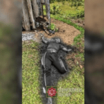 Slain NPA rebel in Samar encounter identified as minor