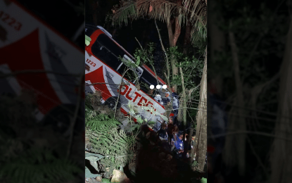 LTFRB suspends bus fleet over fatal Quezon road crash