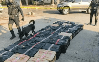 Negros police net P138-M in illicit cigarettes, disrupt supply chain
