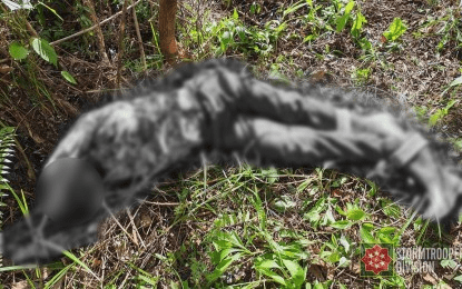 Army says Samar clashes expose NPA rebels’ weaknesses