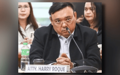 BIR files tax evasion case vs. Harry Roque, wife, and associate