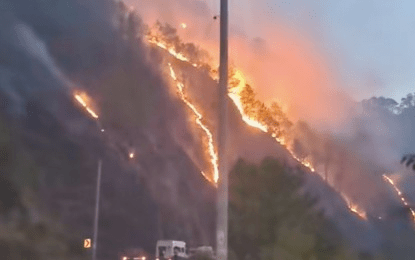 No to ‘kaingin’: Mt. Province residents told to help curb forest fires