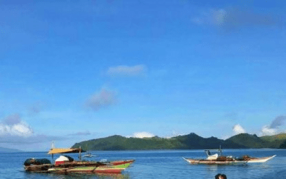 Shellfish ban up in Samar coastal waters