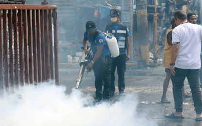Experts: PH dengue prevention must keep pace with global standards